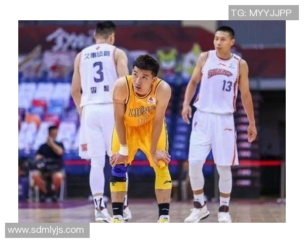 深圳排球队在世界杯积分榜上以58分稳居第一名展现强劲实力